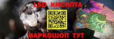 СК Волгодонск