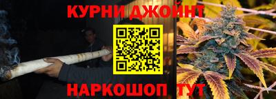 СК Волгодонск