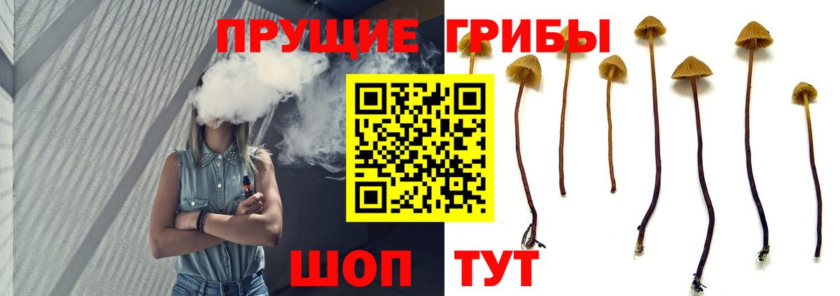 Мурманск  Псилоцибиновые грибы Cubensis  Псилоцибиновые грибы Psilocybe  Вход с VPN 